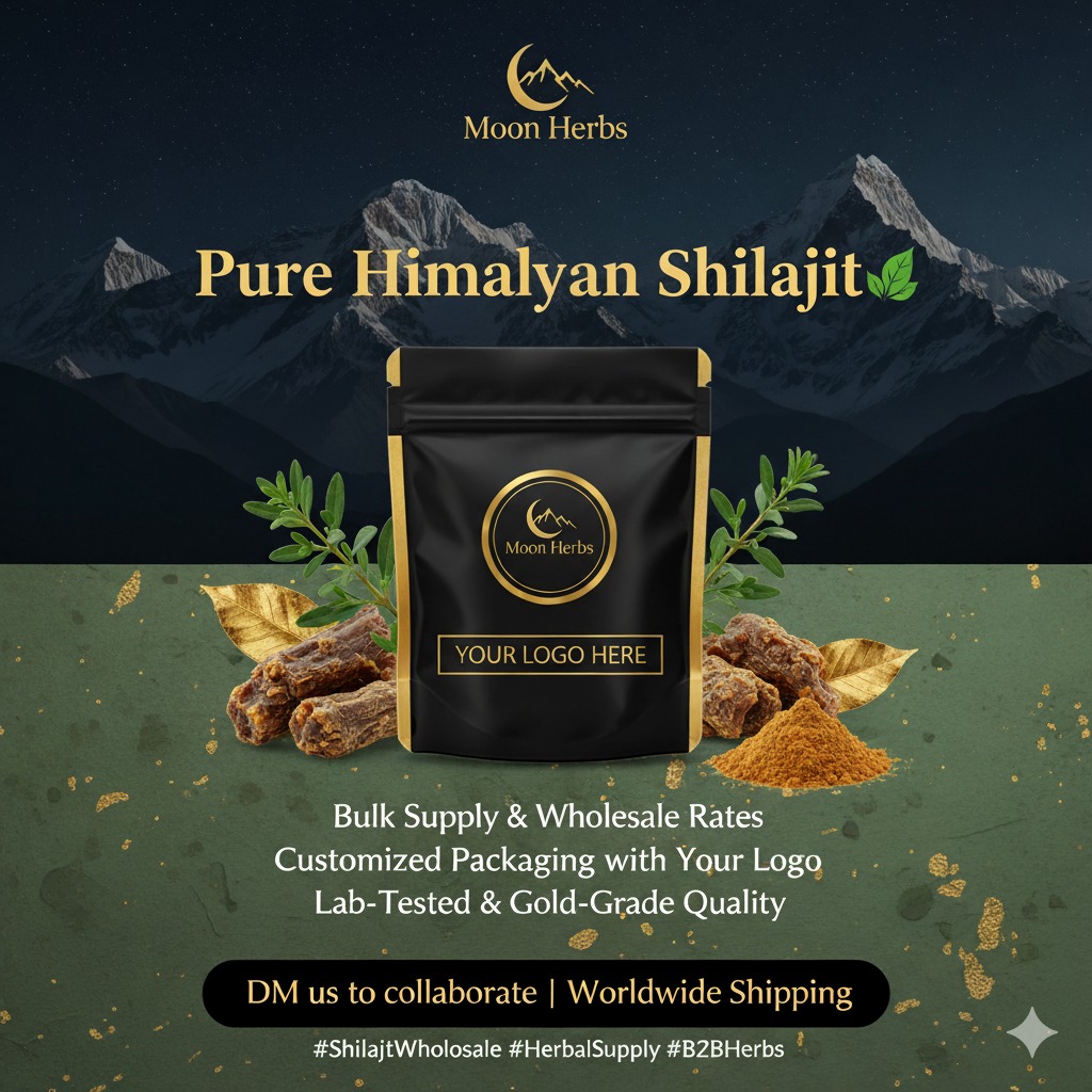 555421696_122098354035044393_3499511435909093681_n